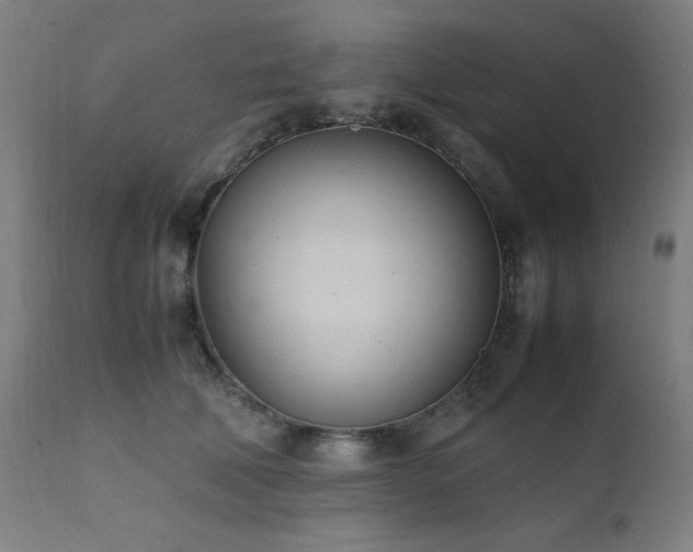 X0000112050610200908041152