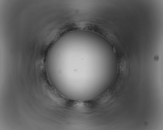 X0000112050611200908041152