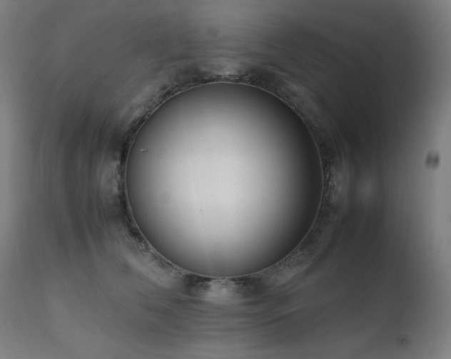 X0000112050612200908041152