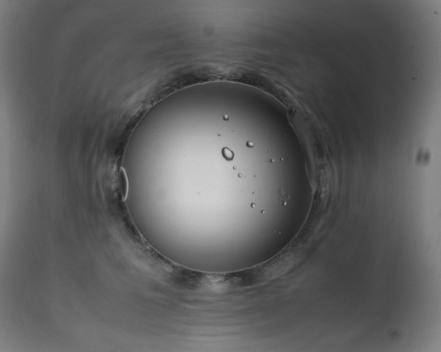 X0000112050613200908041152