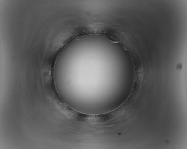 X0000112050615200908041152