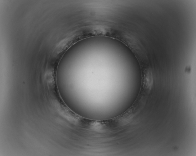 X0000112050616200908041152