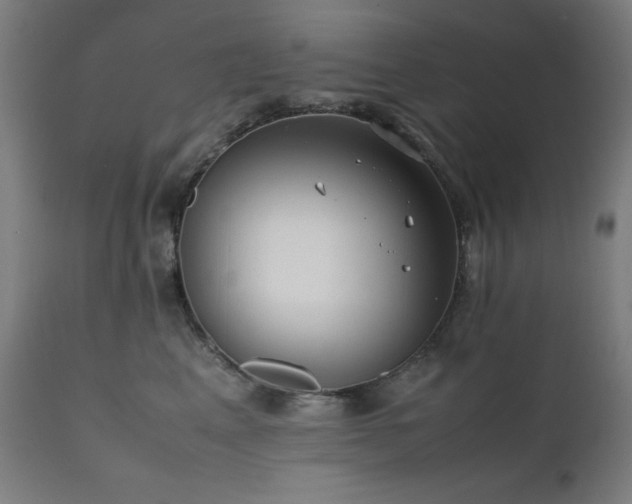 X0000112050617200908041152