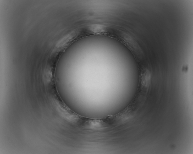 X0000112050618200908041152
