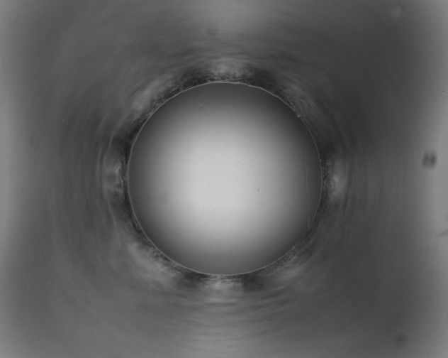 X0000112050619200908041152