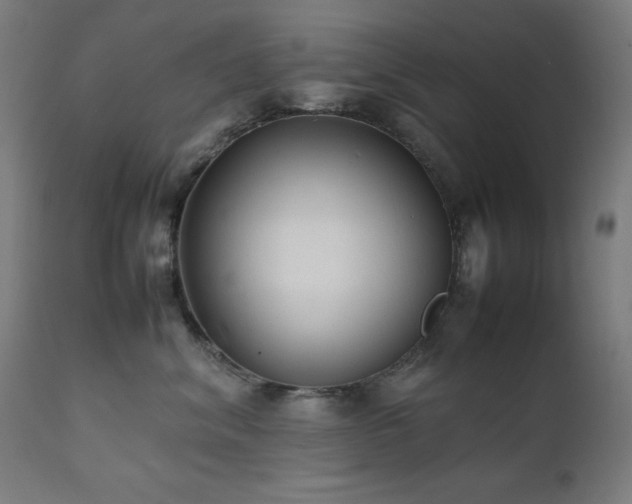 X0000112050620200908041152
