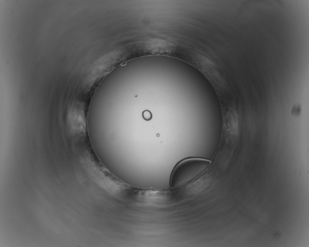 X0000112050622200908041152