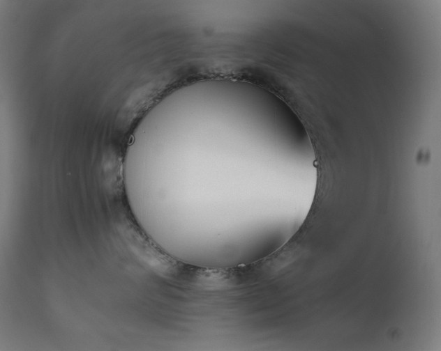 X0000112050624200908041152