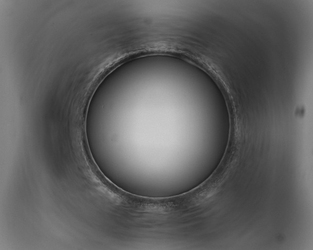 X0000112050625200908041151