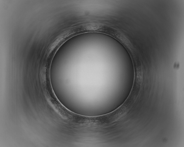 X0000112050626200908041151