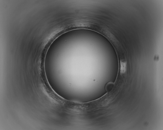 X0000112050627200908041151