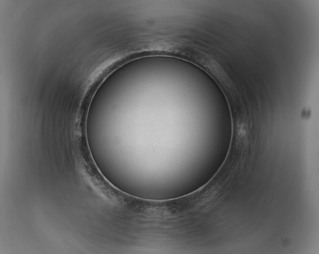 X0000112050628200908041151