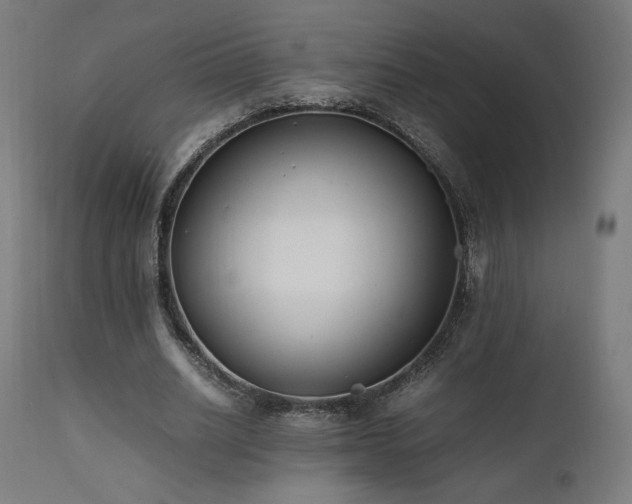 X0000112050630200908041151