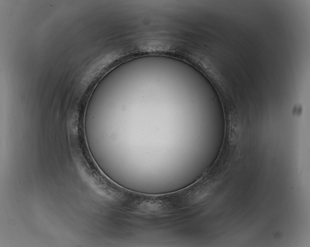 X0000112050631200908041151