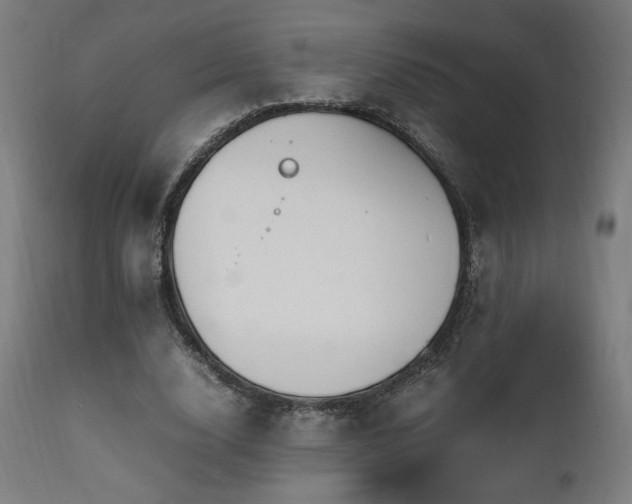X0000112050632200908041151