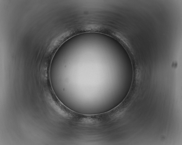 X0000112050633200908041151