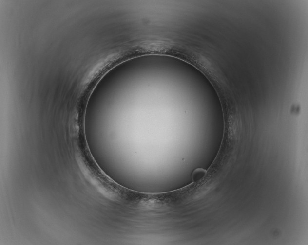 X0000112050634200908041151