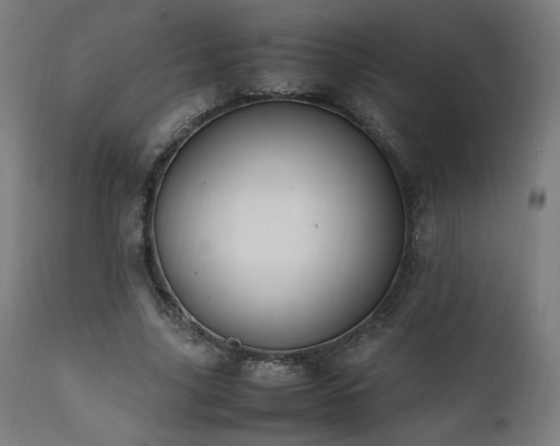 X0000112050635200908041151