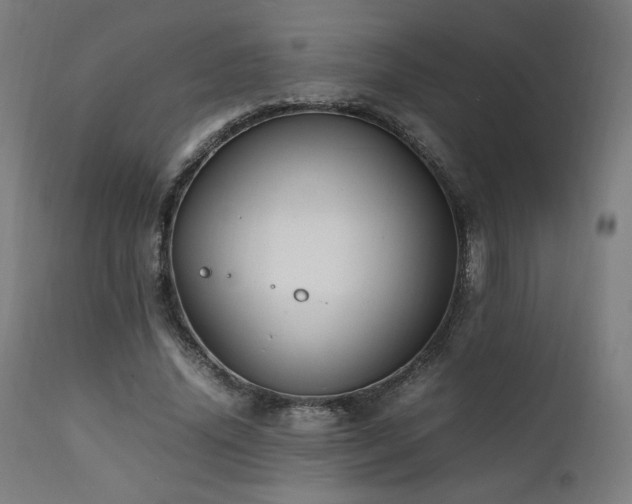 X0000112050636200908041151