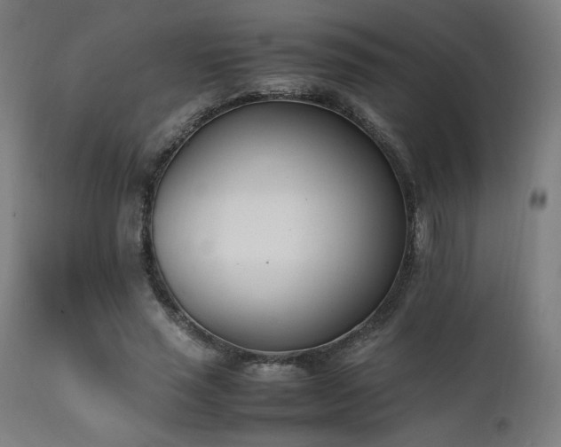X0000112050637200908041151