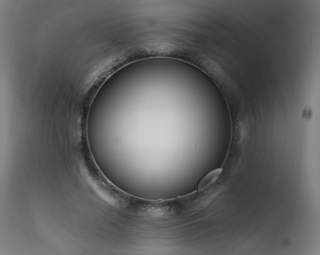 X0000112050638200908041151