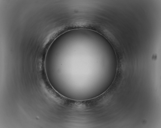 X0000112050640200908041151