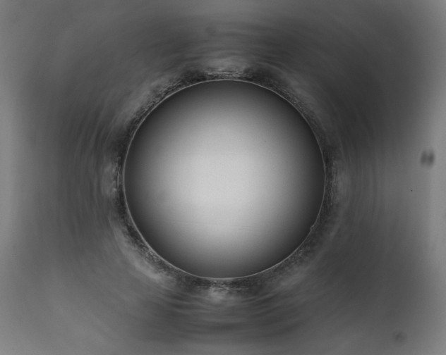 X0000112050641200908041151