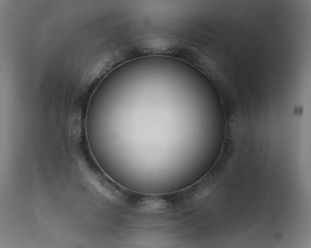 X0000112050642200908041151