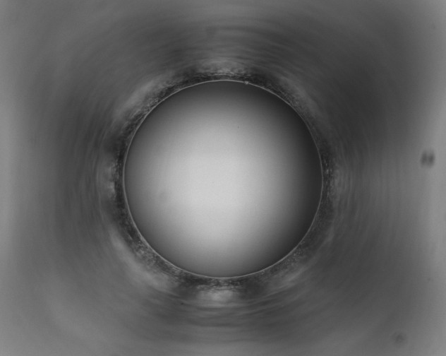 X0000112050643200908041151