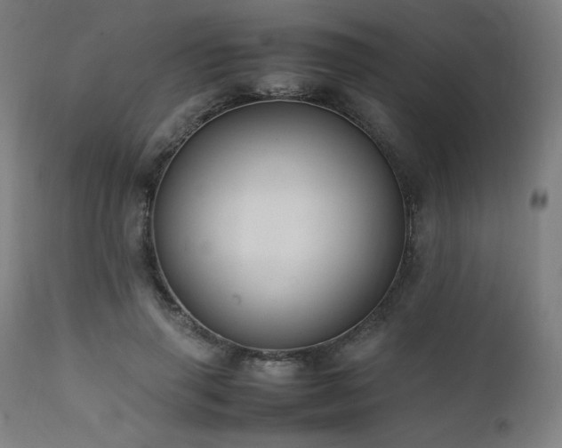 X0000112050645200908041151