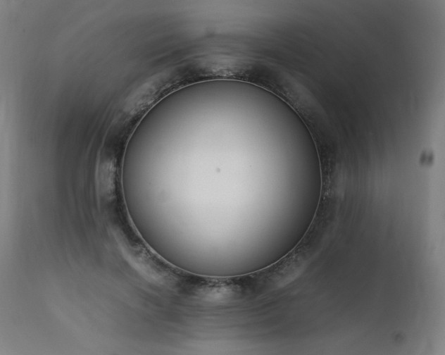X0000112050646200908041151