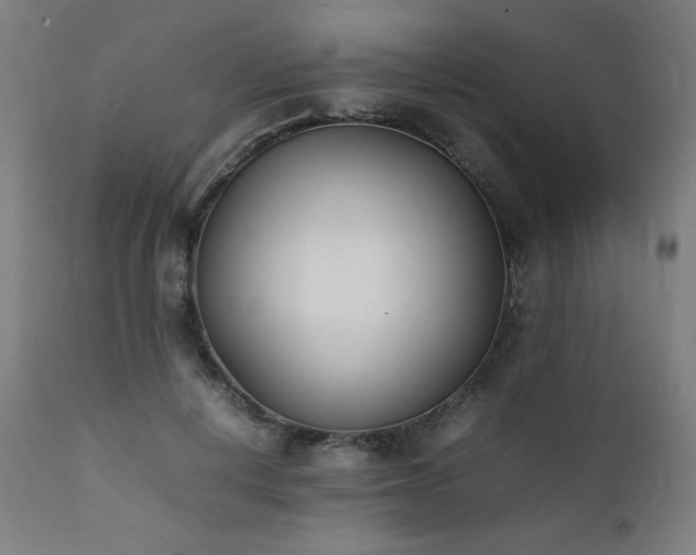 X0000112050648200908041151