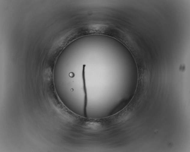 X0000112050649200908041151