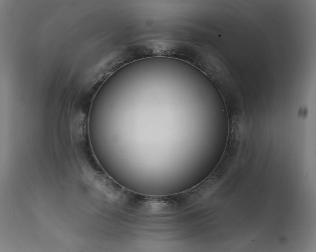 X0000112050650200908041151