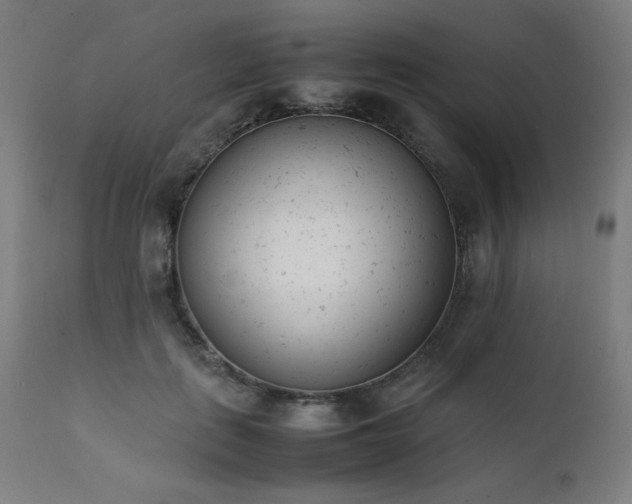 X0000112050651200908041151