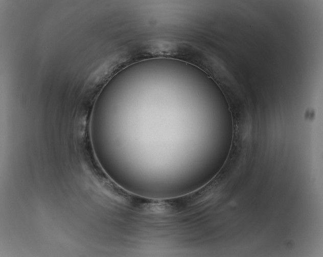 X0000112050652200908041151