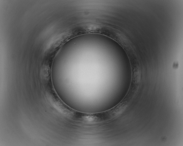 X0000112050654200908041151