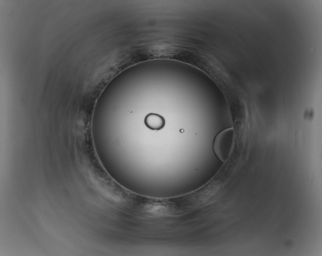 X0000112050655200908041151
