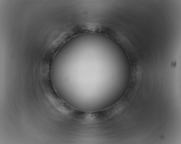 X0000112050656200908041151