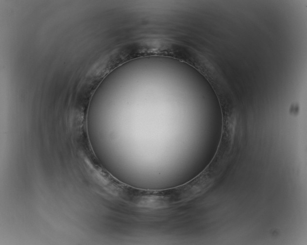 X0000112050657200908041151