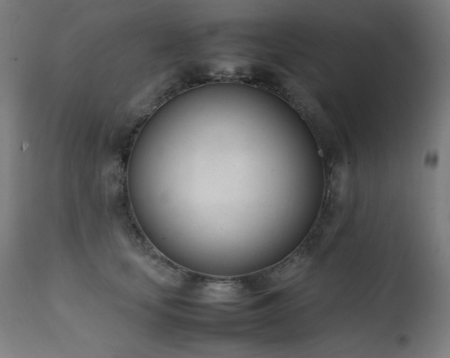 X0000112050659200908041151