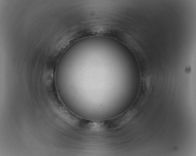 X0000112050660200908041151