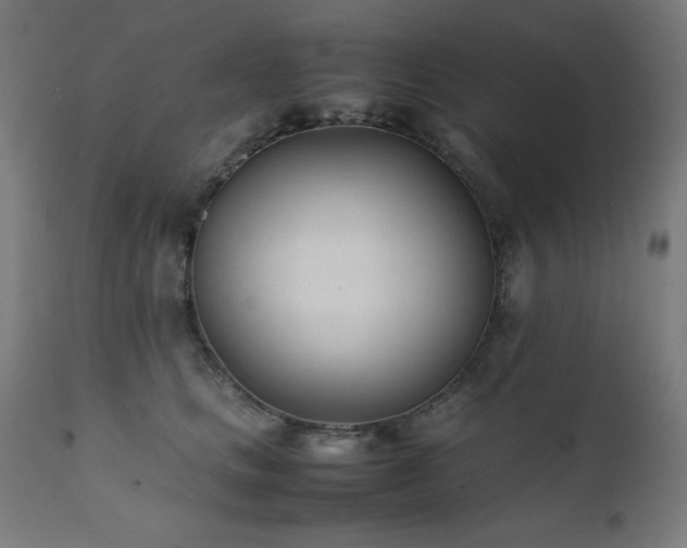 X0000112050661200908041151