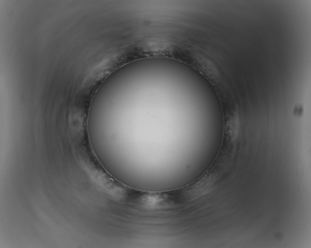 X0000112050662200908041151