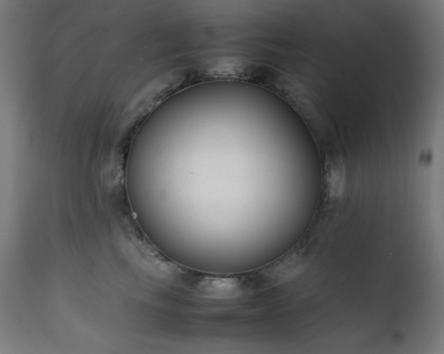 X0000112050665200908041151