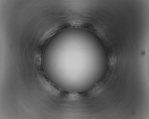 X0000112050666200908041151