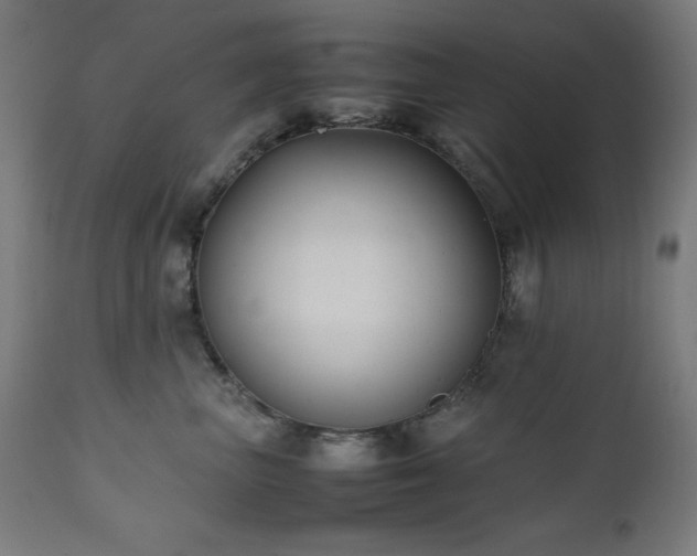 X0000112050667200908041151