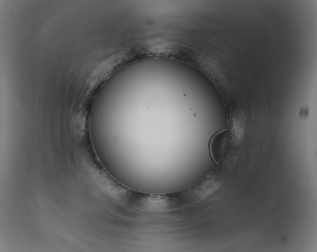 X0000112050668200908041152