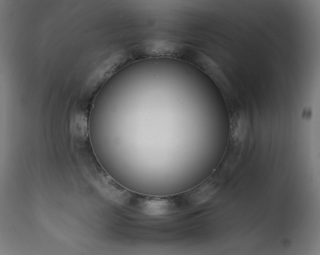 X0000112050669200908041152