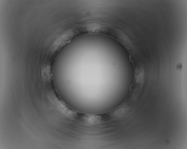 X0000112050670200908041152